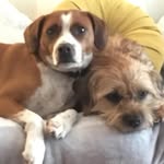 Jean Eastbrook - @jeaneastbrook - Instagram