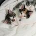 Jean Eckenrode - Facebook
