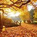 Jean Eldred - Facebook
