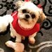 Jean Eldred - Facebook