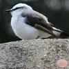 jeanengel0 - @jeanengel0 - TikTok