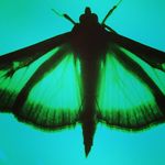 Jeanmaricard Miteis - @jeanmarieengler - Instagram