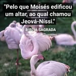 PASTOR CUNHA - @jeanfabrizio2024 - Instagram