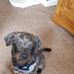 Jean Fallon - Facebook