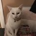 Jean Feeney - Facebook
