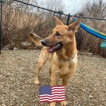 Jean Feeney - @feeneyj - Instagram