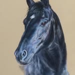 Jeanfeeney-equineart - @jeanfeeneyequineart - Instagram