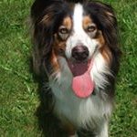 Jean M Fielder - @fielderjean - Instagram