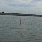 Jeanne Fielder - @jeannefielder - Instagram