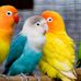 Jean Fielding - Facebook