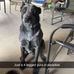 Paula-Jean Fielding - Facebook