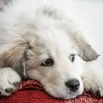 Jean Findlay - @jeanfin - Instagram