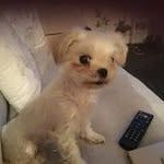 Jean Findlay - @jean.findlay.146 - Instagram