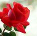 Jean Firth - Facebook