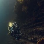 Jean-Luc Forster - @vetcats - Instagram