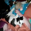 jeanforster581 - @jeanforster581 - TikTok
