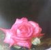 Jean-yves Fortin - Facebook