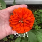 Jean Webb Frye - Facebook