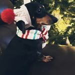 Willie Jean Fulmer Little - @mrs.little316 - Instagram