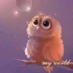 Jean Gault Haynes - @jh05606 - Instagram