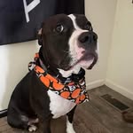 Jean Clark Geist - @clarkgeist - Instagram