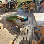 Jean Crowther Gerlach - @jean.gerlach - Instagram