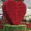 jeanginnhe - @jean.gin.nhe - TikTok