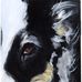 Jean Glaser Animal Portraits - Facebook