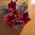 Jean Goad - Facebook