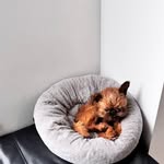 Jean Gooch - @jeangooch41 - Instagram