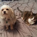 Jeannie Goodrich - @jean.goodrich.39 - Instagram