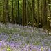 Jean Goss - Facebook