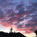 Jean Gray - @jean_gray18 - Instagram