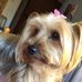 Jean Shird Greenfield - Facebook