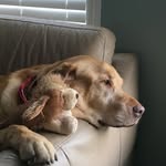 Janice Greenhalgh - @janice.greenhalgh.1 - Instagram