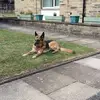 Jean Grogan - @jeangrogan - TikTok