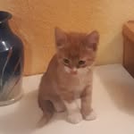 Jean-bernard Guillet - @jeanbernard.guilletjeanbernad7 - Instagram