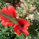 Jean-claude Guillot - @jeanclaudeguillot - Instagram