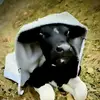 Jeanne Guillot - @jeanne.guillot - TikTok