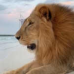Jean Guin Paul - @tahraabu - Instagram