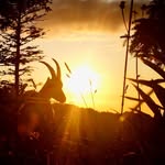 Jean-Jacques Guinchard - @jeanjacquesguinchard - Instagram