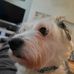 Jean Hadley - Facebook