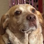 BARB - @barbara_jean_hamm - Instagram