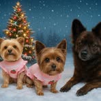 Jean Hammock - Facebook