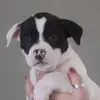 jeanheckers - @jeanheckers - TikTok
