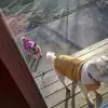 Jean Hedrick - @jean.hedrick - TikTok