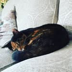 Jean Hendy - @jean42hendy - Instagram