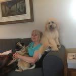 Jean Hendy - @jean.hendy - Instagram