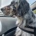 Jean Henne - Facebook