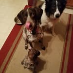 Jean Hennet Deiter - @jeanhennet - Instagram